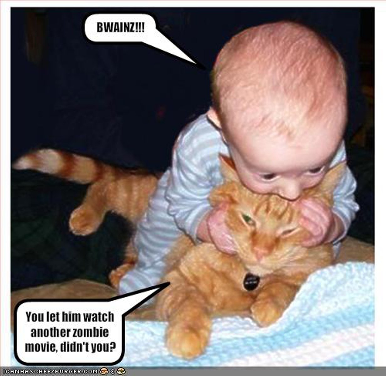 funny-baby-and-ailing-cat